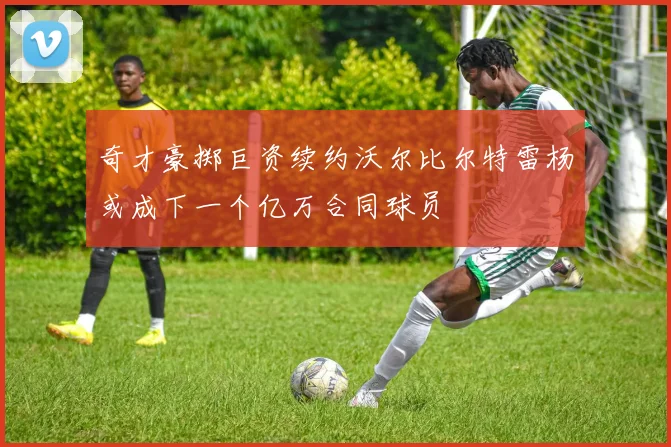 奇才豪掷巨资续约沃尔比尔特雷杨或成下一个亿万合同球员