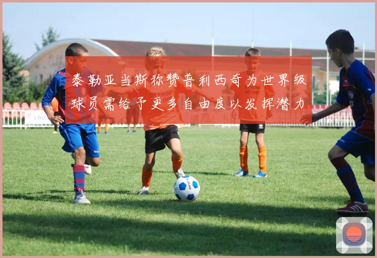 泰勒亚当斯称赞普利西奇为世界级球员需给予更多自由度以发挥潜力